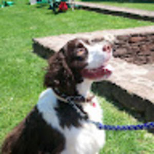 Meet your Posher, Mildred